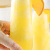 frozen mimosa in hand.
